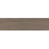 Tree brown